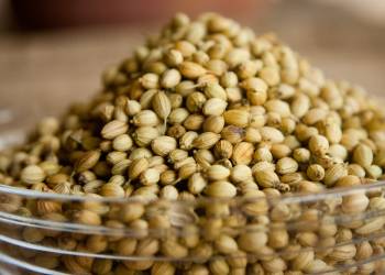 coriander 390708 1920 2020 12 08 114710