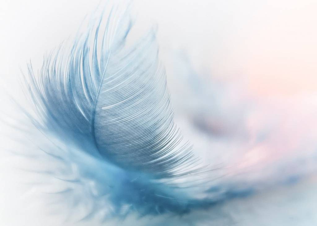 feather 3010848 1920 2021 01 23 131941
