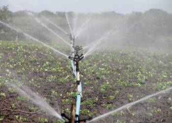 irrigation 588941 1920 2021 01 14 101504