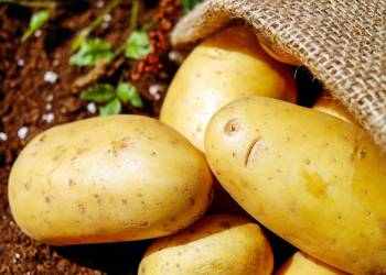 potatoes 1585060 1920 2021 01 27 103239