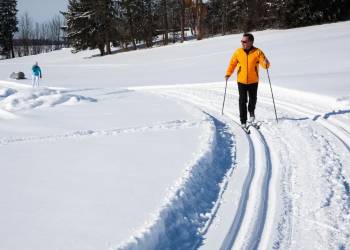 cross country skiing 624253 1920 2021 02 05 123740