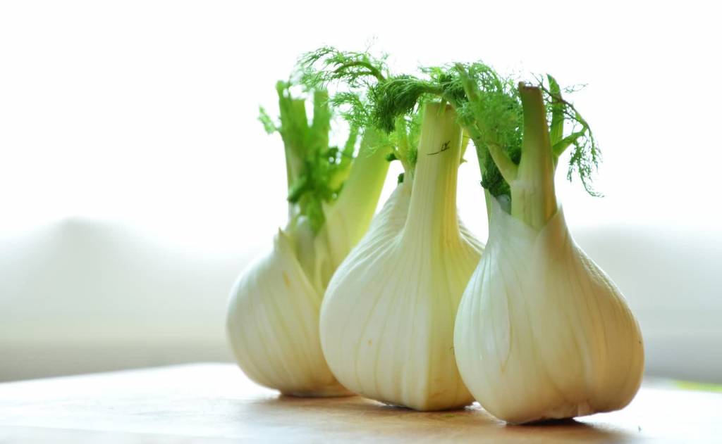 fennel 1311691 1920 2021 02 16 112526