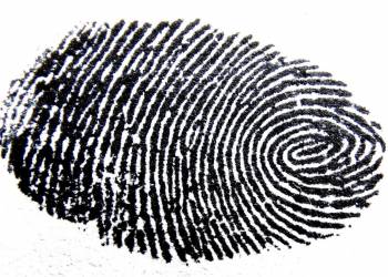 fingerprint 456483 1920 2021 02 16 155802
