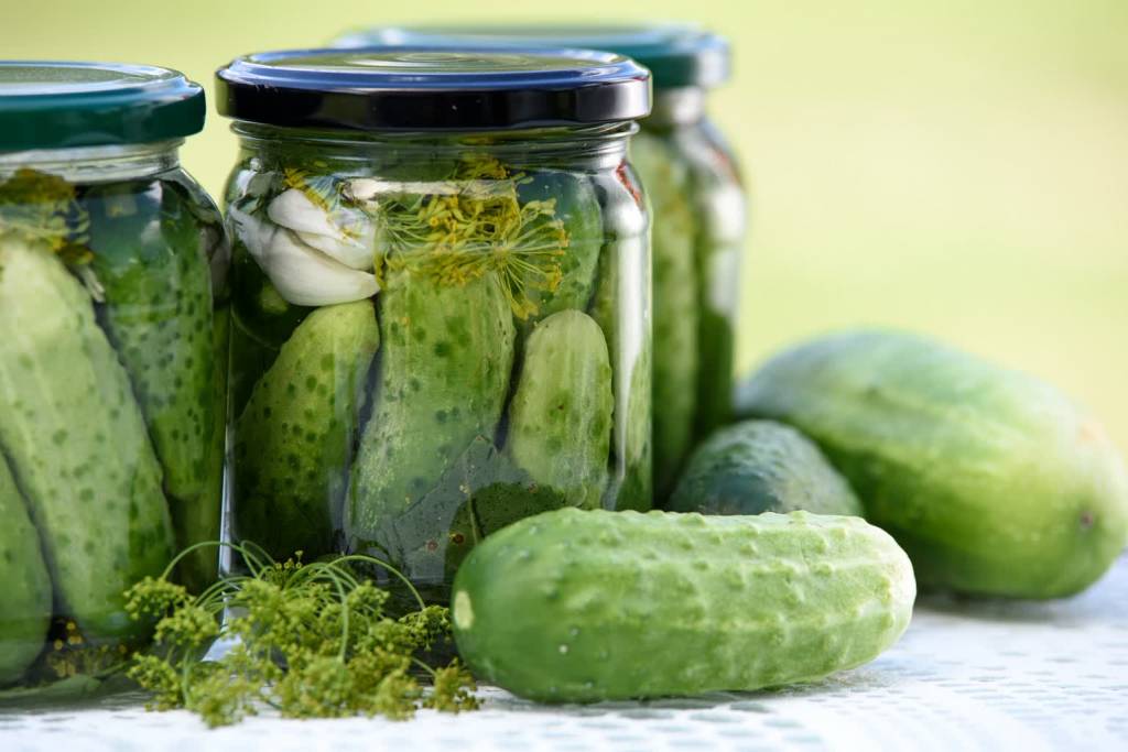 pickled cucumbers 1520638 1920 2021 02 21 123436