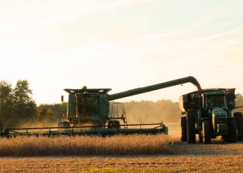 harvest 1825170 1280 2021 03 02 140906