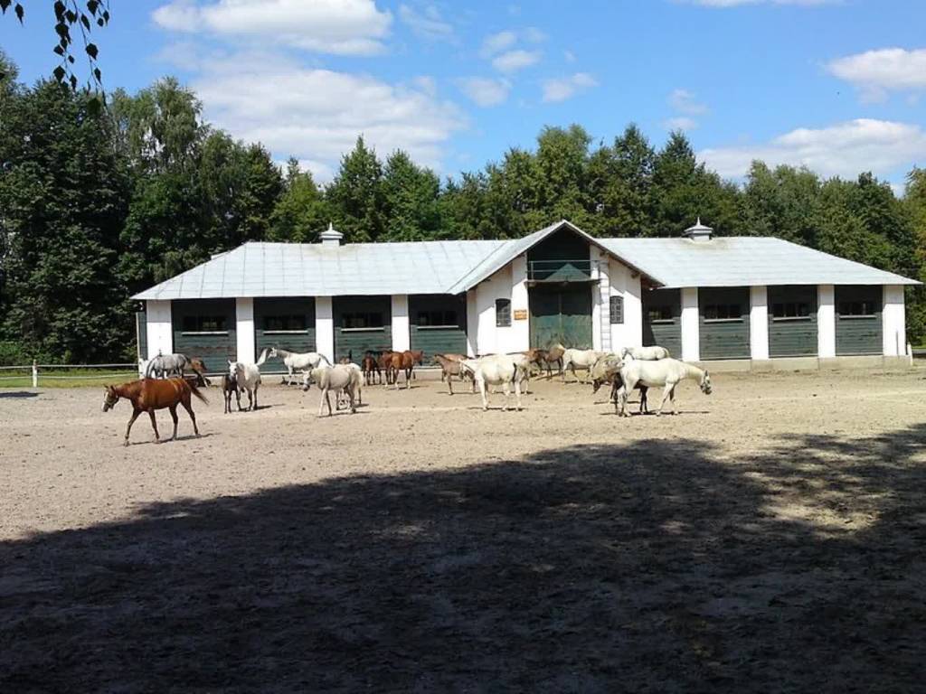 stadnina w janowie podlaskim panoramio 1 2020 05 20 182302 2020 05 24 180806 2021 03 18 111603