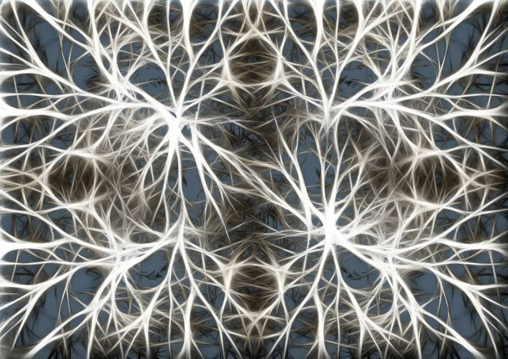 neurons 582054 1920 2021 04 06 143304