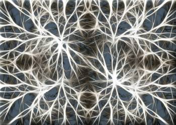 neurons 582054 1920 2021 04 06 143304