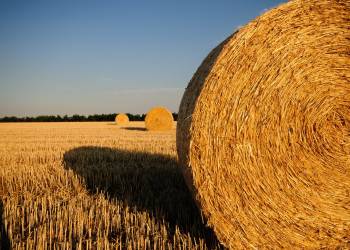 straw bales 726977 1920 2021 04 08 205323