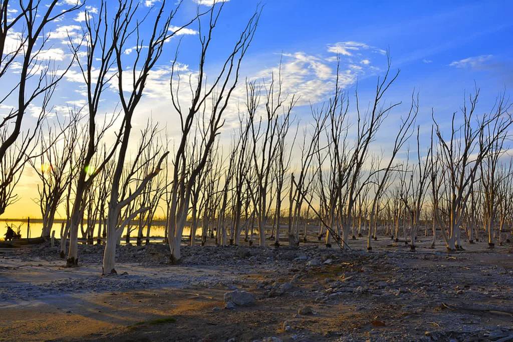 epecuen 4082389 960 720 2021 05 04 085505