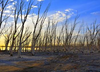 epecuen 4082389 960 720 2021 05 04 085505