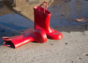 rainboots 4574933 1920 2021 05 07 163321