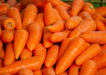 carrots 1508847 1920 2021 06 14 104747