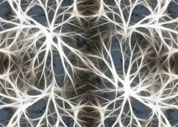 neurons 582054 1920 2021 04 06 143304 1140x570 2021 06 22 210446