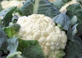 cauliflower 1465732 1920 2021 07 26 113947