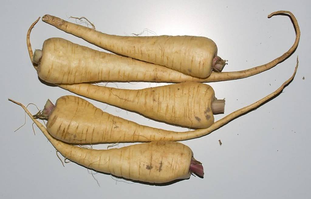 parsnips 74305 640 2021 07 12 105236