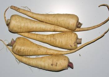 parsnips 74305 640 2021 07 12 105236