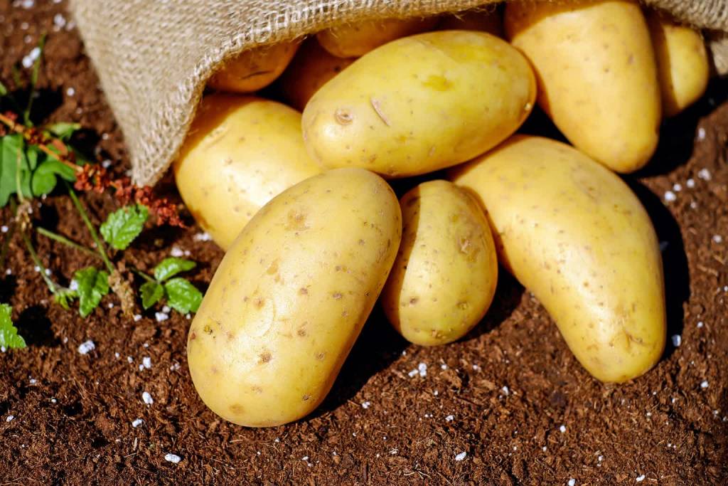 potatoes 1585075 1920 2021 07 18 115510