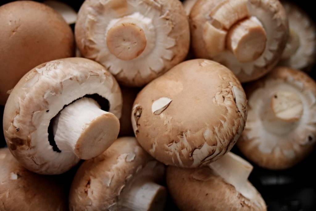 mushrooms 2690529 1920 2021 08 30 072513