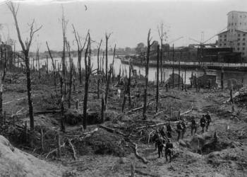 bundesarchiv bild 183 2008 0513 500 danzig westerplatte wald 2021 09 01 122244