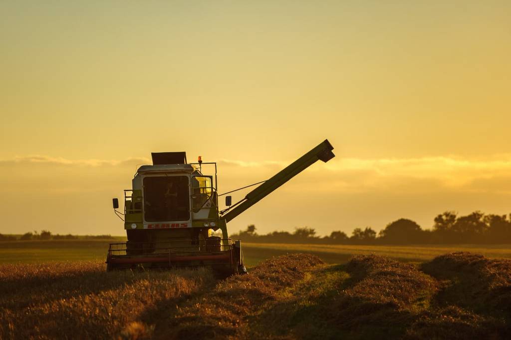 harvest 1974111 1920 2021 09 20 141244