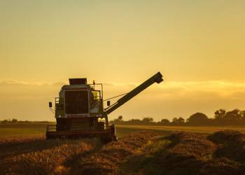 harvest 1974111 1920 2021 09 20 141244