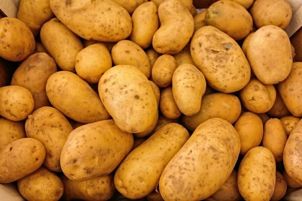 potatoes 411975 1920 2021 09 08 191916