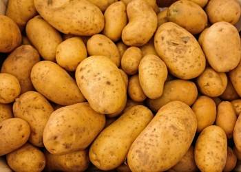 potatoes 411975 1920 2021 09 08 191916