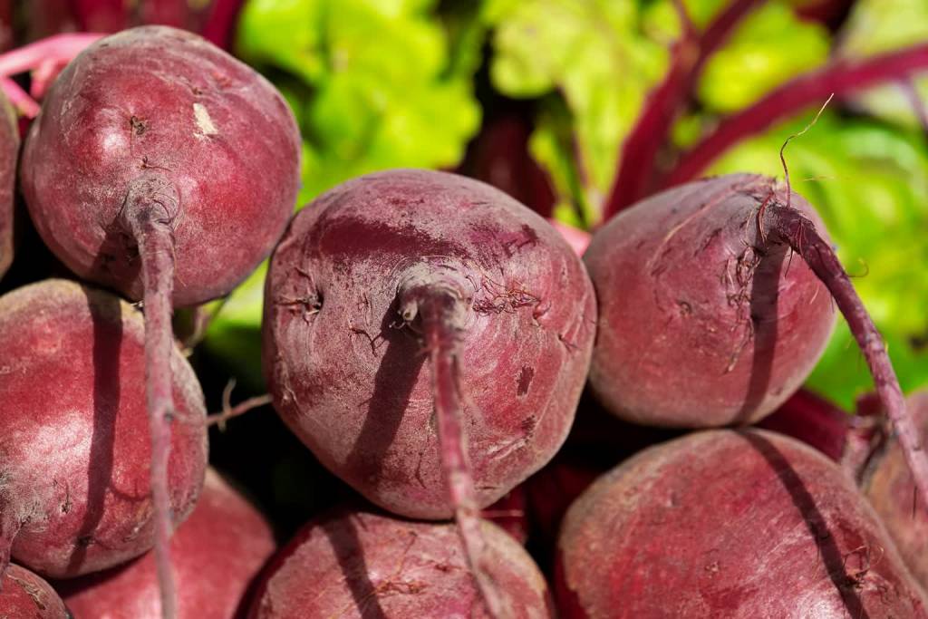 beetroot g5e440b635 1920 2021 11 08 120649