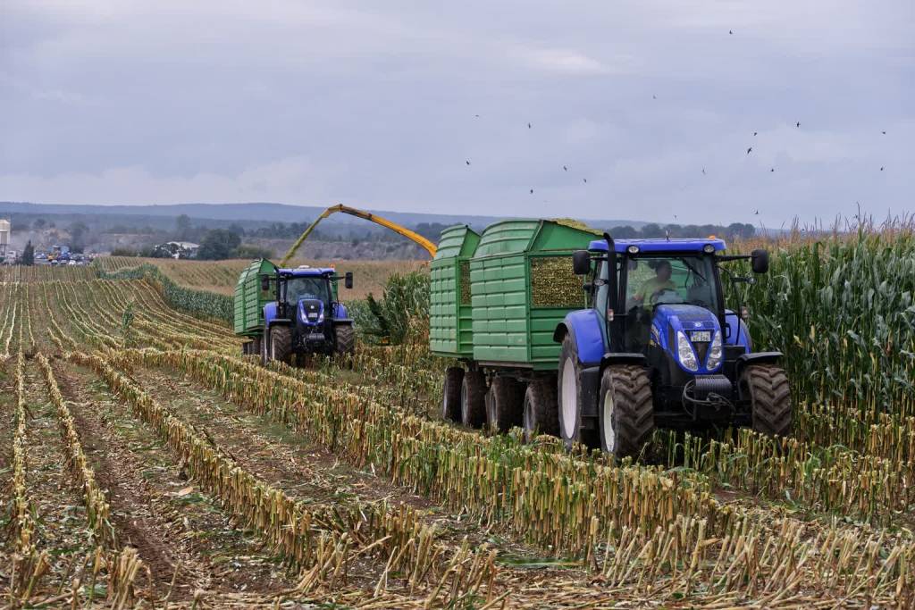 harvest g962093eda 1920 2021 11 05 160056