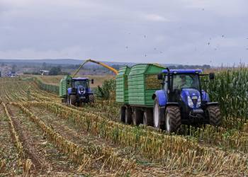 harvest g962093eda 1920 2021 11 05 160056