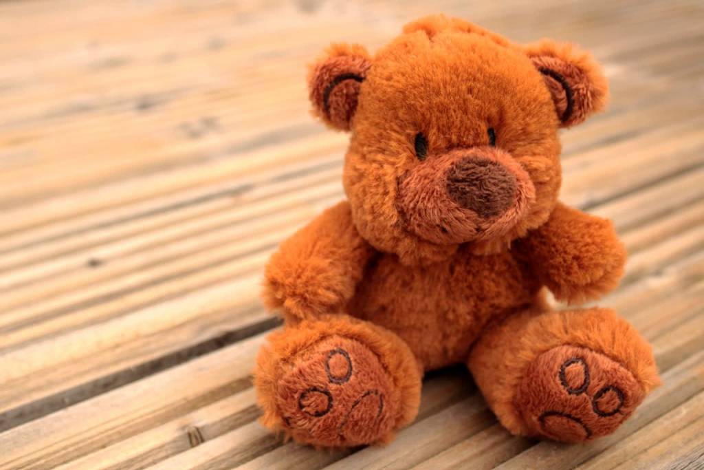 teddy bear g78f64bd0d 1920 2021 11 19 214939