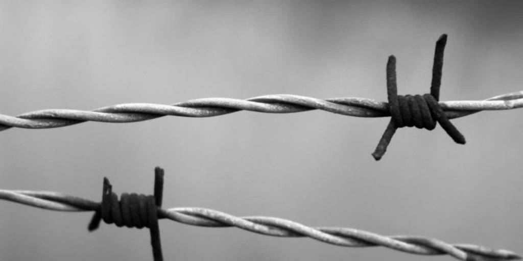 barbed wire 1269430 1280 750x375 2022 01 27 150043