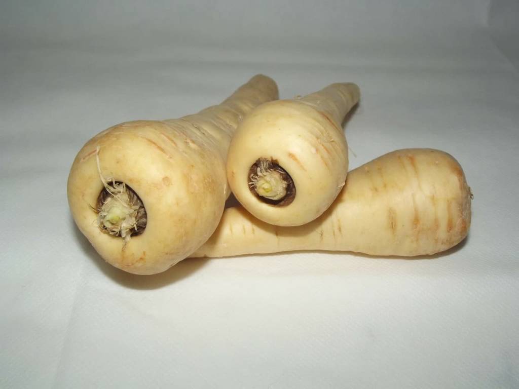 parsnip ge1c31a717 1920 2022 02 14 145453