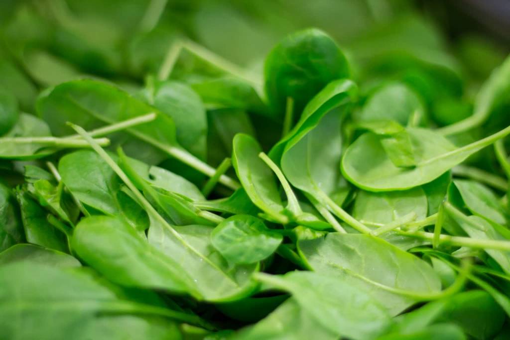 spinach g02e9c6479 1920 2022 02 21 110020