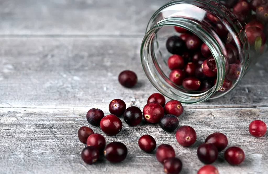 cranberries g60cf7af5e 1920 2022 03 27 062342