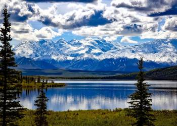 denali national park g4e2efc1d9 1920 2022 03 30 080215