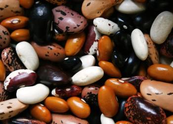 beans gaacea5844 1920 2022 04 28 080219