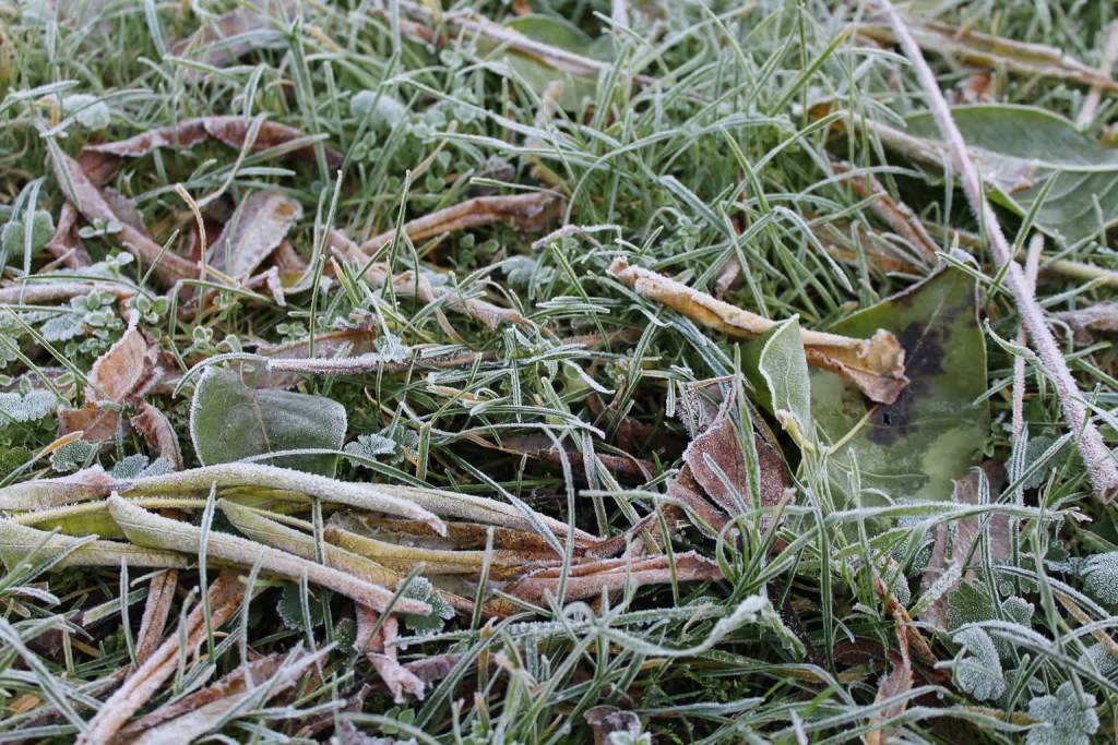 ground frost gc1921b70f 1920 2022 04 11 180638