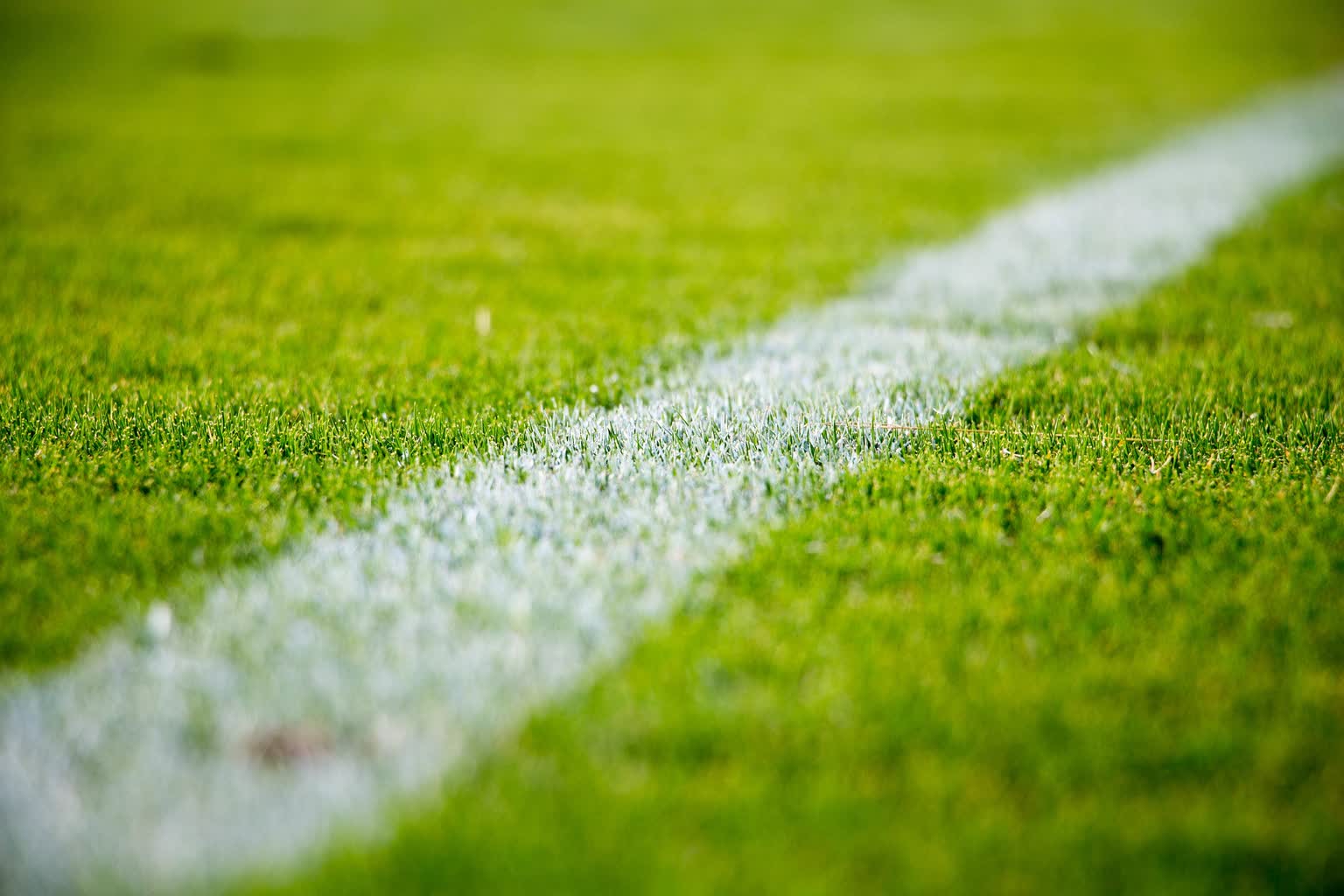 grass 2616911 1920 2022 05 29 195753