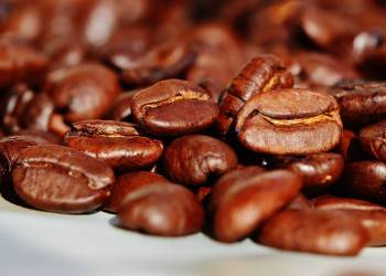 coffee beans 1291656 1920 2022 06 21 091033