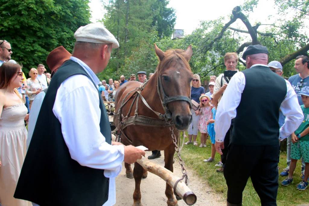 pm skansen 120622 010 2022 06 12 151648