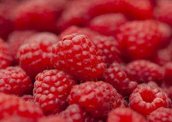 raspberry g620b06b29 1920 2022 06 27 193451