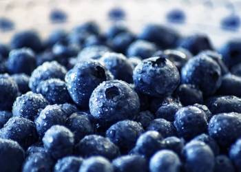 blueberries 3460423 960 720 2022 07 25 120751