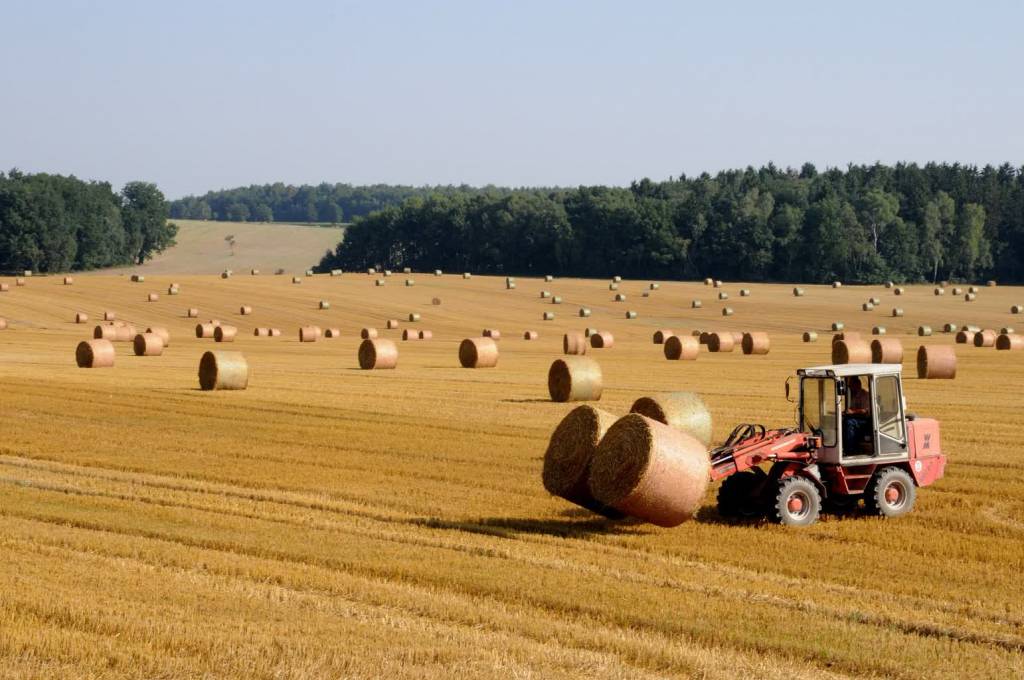 harvest 803479 1920 2022 07 13 140150