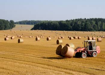 harvest 803479 1920 2022 07 13 140150