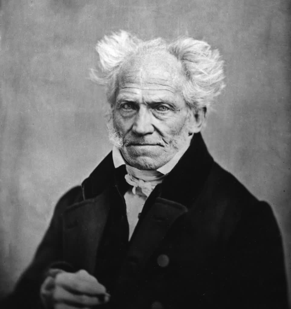arthur schopenhauer by j schafer 1859b 2022 09 21 075501