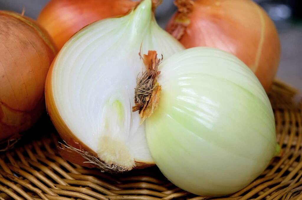 onion 1144620 1280 2022 11 04 104118